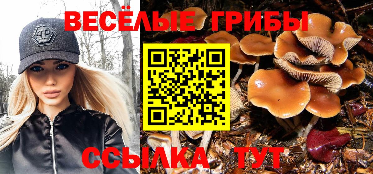 Галлюциногенные грибы Psilocybine cubensis Чапаевск